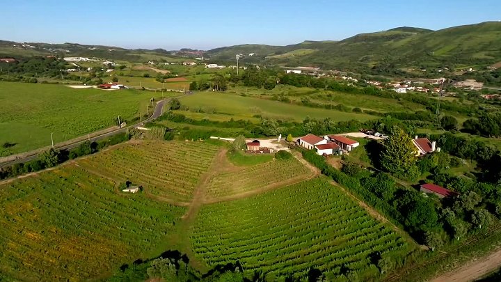 ⁣Geordie Shore S26E09 Peace At Last 720p AMZN WEB-DL DDP2 0 H 264-RAWR