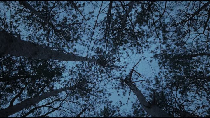 ⁣The Testament Of Ann Lee 2025 2160p MA WEB-DL DV HDR DDP5 1 H265 MP4-BTM