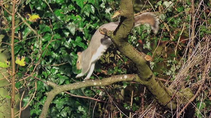 ⁣The Sound Collector S01E40 1080p WEB H264-SKYFiRE