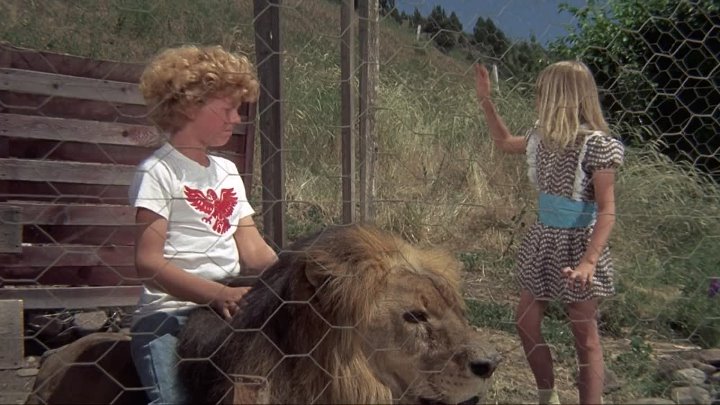 ⁣Napoleon And Samantha (1972) (1080p)🌻 Animation & Family Movies