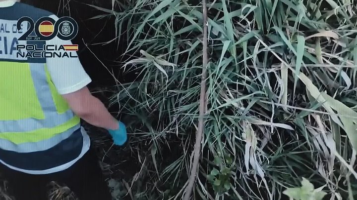 ⁣The Tiktok Killer S01E02