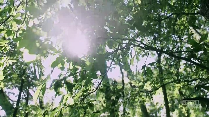 ⁣Buried the Backyard S06E12