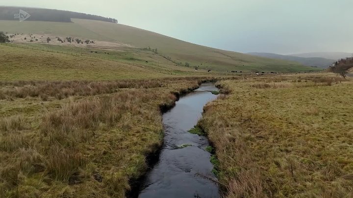 True Crime Presents S02E03