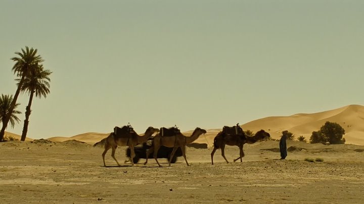 ⁣Heartbreaker (2010) 1080p BluRay 5 1 -FRE -YTS MX