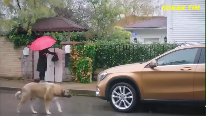 Mali zlocini Ep 15 dio 1