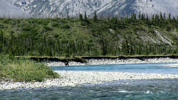 ⁣The Yukon Assignment (2018) (1080p)🌻 Documentaries