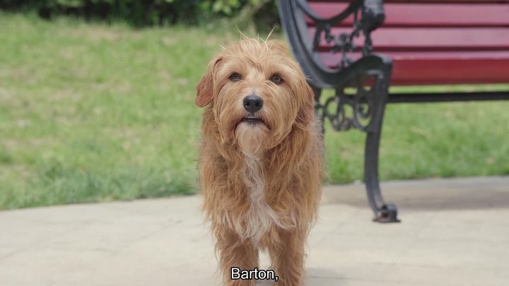 ⁣Adoring (2019) [EngSub] (1080p)🌻 Asian Cinema