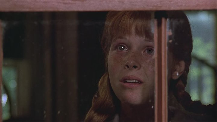 ⁣The New Adventures of Pippi Longstocking (1988) (1080p)