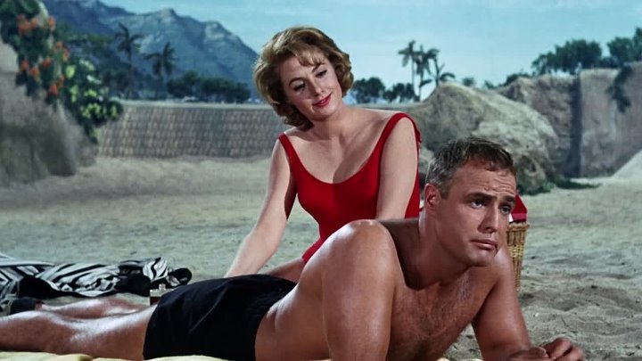 ⁣Bedtime Story (1964) (720p)🌻 Classic & Older Hollywood Films