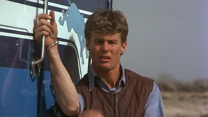 ⁣White Line Fever (1975) (1080p)🌻 70's Movies