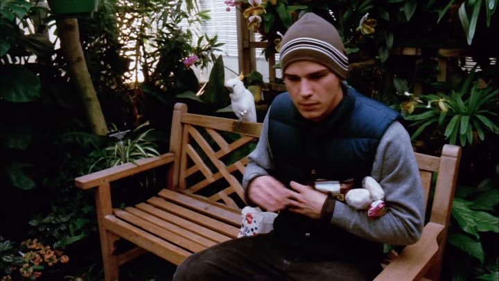 ⁣Mozart And The Whale (2005) (1080p)🌻 00's & Up Movies