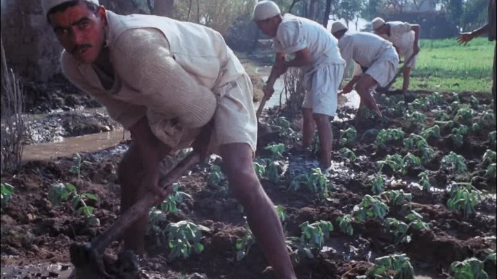 ⁣The Land (1970) (1080p) +subtitle