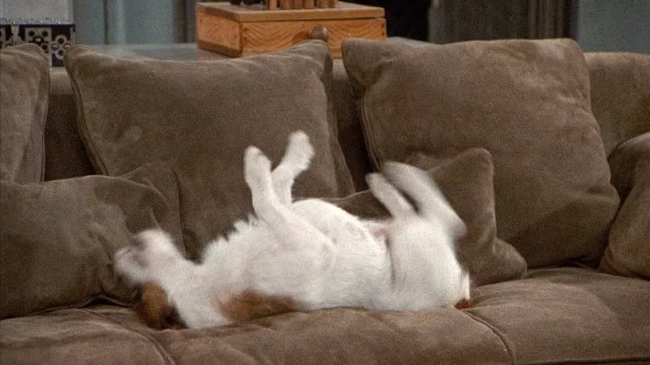 ⁣Frasier [S01E08] (1080p) Beloved Infidel