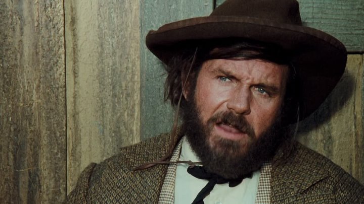 ⁣The Great Northfield Minnesota Raid (1972) (1080p)🌻 Westerns