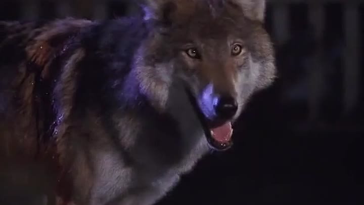 ⁣Life Goes On [S1E8] Call Of The Wild