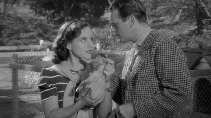 ⁣The Young In Heart (1938) (1080p)🌻 Black & White Films