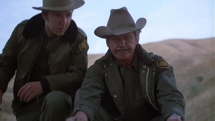 ⁣Borderline (1980) (1080p)🌻 80's Movies