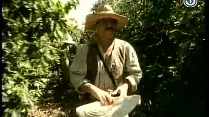 ⁣Robinja Isaura Ep 01