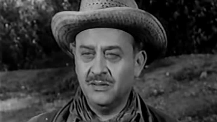 ⁣The Fugitive [S02E29] The Old Man Picked A Lemon