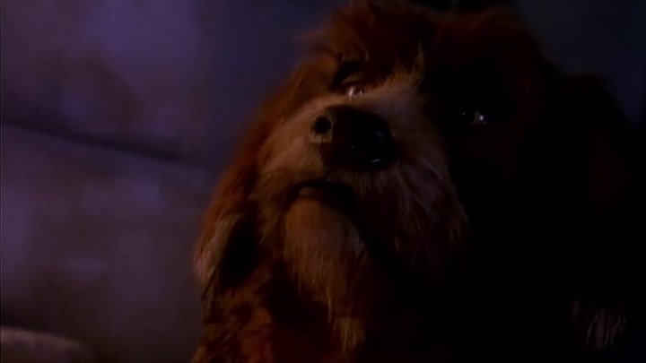 ⁣Jim Henson's The Storyteller (1988) - E03 - A Story Short - HD AI Remaster-(1080p)
