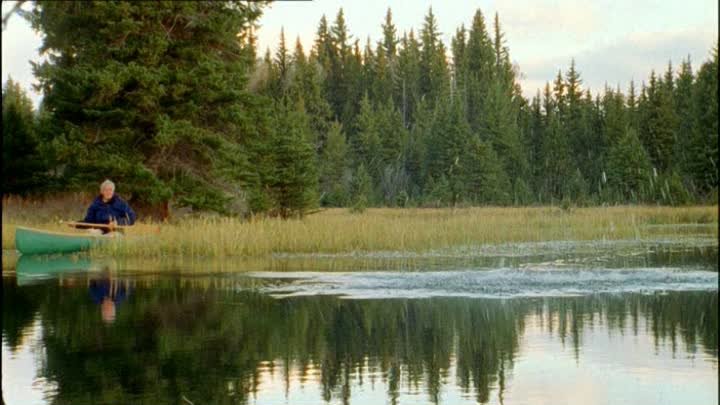 ⁣The Life of Mammals (2002) - S01E04 - Chisellers (576p)