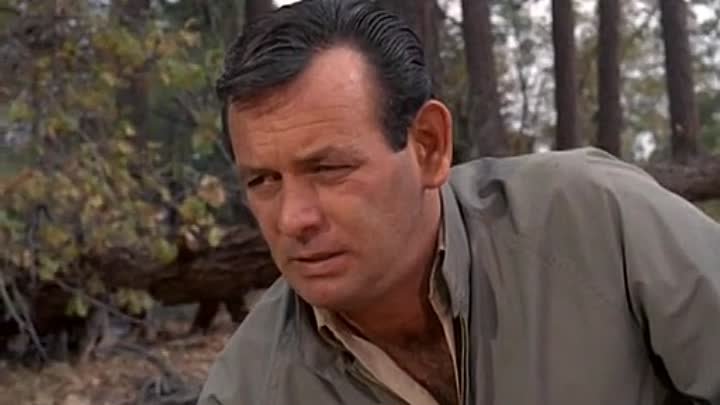 ⁣The Fugitive [S04E15] Run The Man Down