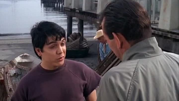 ⁣The Fugitive [S04E25] Death Of A Very Small Killer