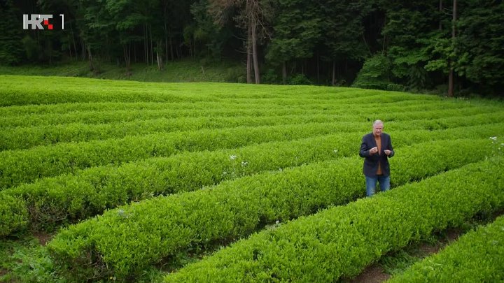 ⁣What's Up Japan S01E01