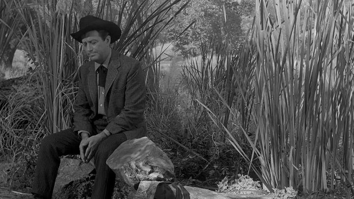 ⁣The Hangman (1959) [720p] - Robert Taylor