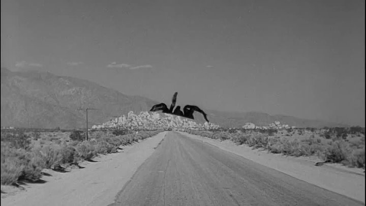 ⁣Tarantula (1955) (720p) - 🌻 Movies