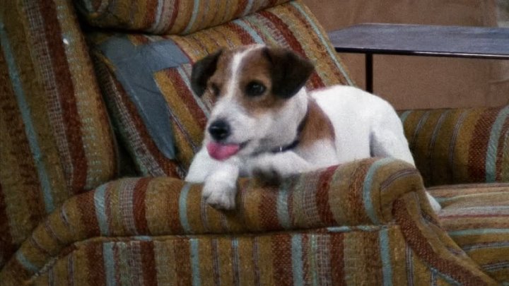 ⁣Frasier [S08E16] (1080p) Docu Drama