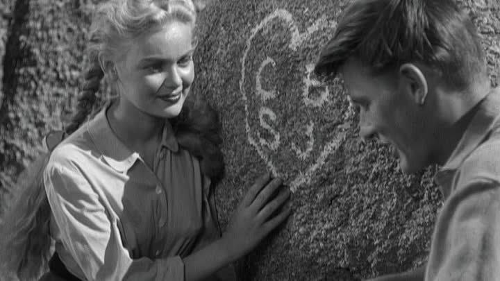 ⁣Black Midnight (1949) Standard Definition🌻 Movies