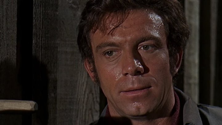 ⁣A Man Called Gannon (1968) (1080p)🌻 Westerns