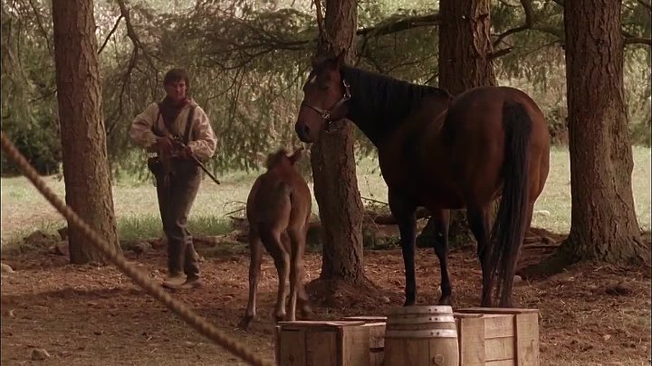 ⁣The Colt (2005) Tv Movie (720p)🌻 Movies