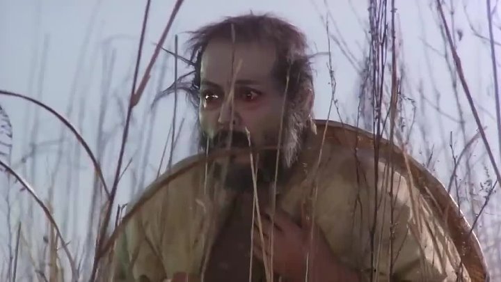 ⁣Kagemusha (1980) [EngSub] (720p) 🌻 Asian Cinema