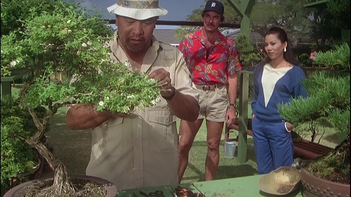 ⁣Magnum P I [S03E17] Forty Years from Sand Island