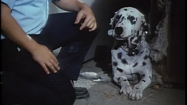 ⁣Code Red S1 E5 ∙ All That Glitters