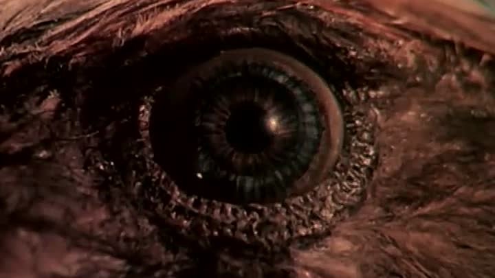 ⁣Manimal S1 E2 ∙ Illusion