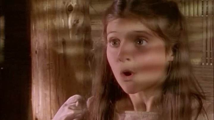 ⁣The Adventures Of Swiss Family Robinson S01E07 Invasion: Part 1