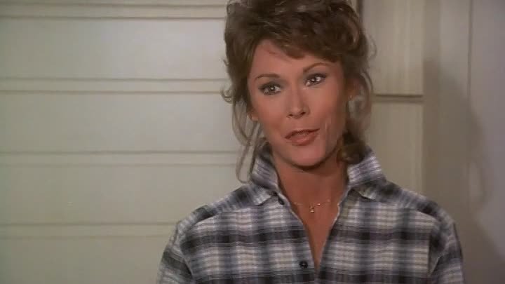 ⁣Scarecrow and Mrs King S01E20 Weekend