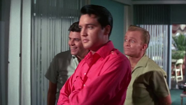 ⁣Girl Happy (1965) (1080p)🌻 Movies