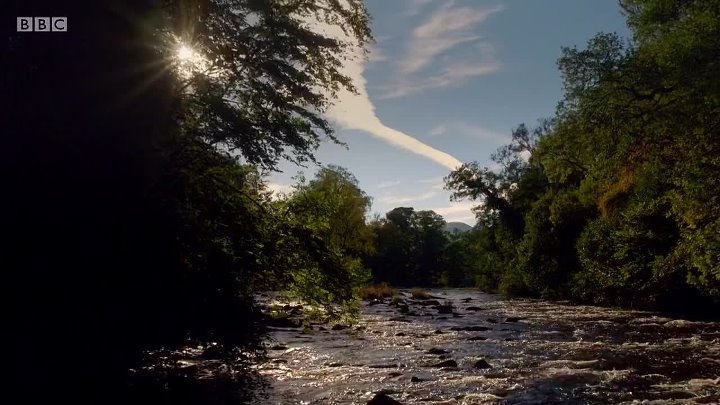 ⁣Mortimer and Whitehouse Gone Fishing S02E01