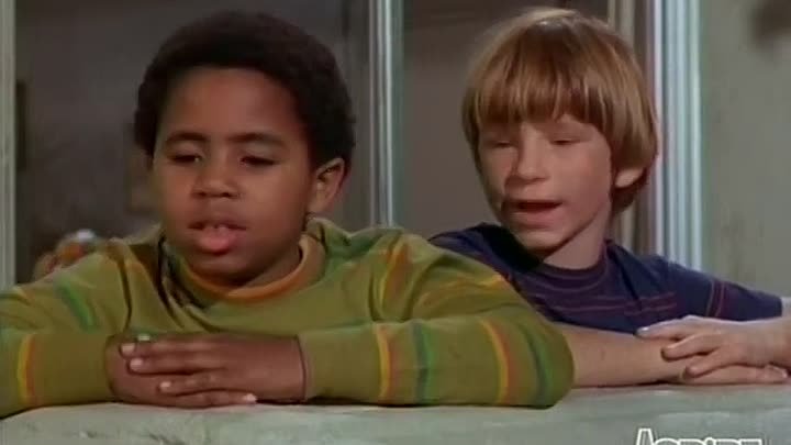 ⁣Julia E80 - Strictly for the Birds