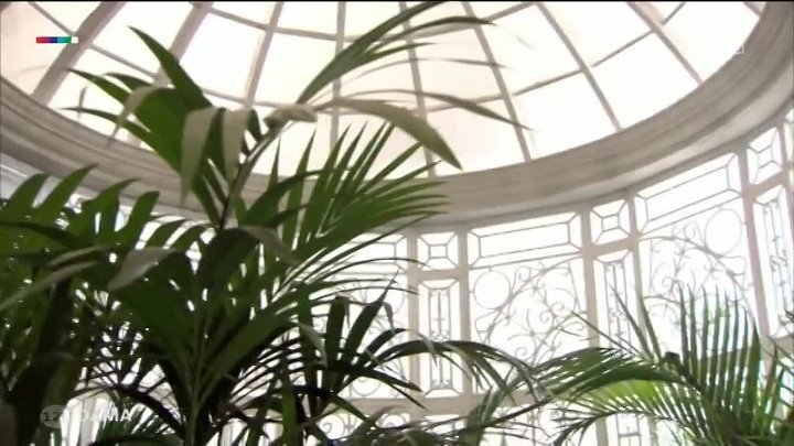 ⁣Dama - La senora S01E04