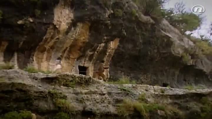 Nasljeđe jedne dame 15