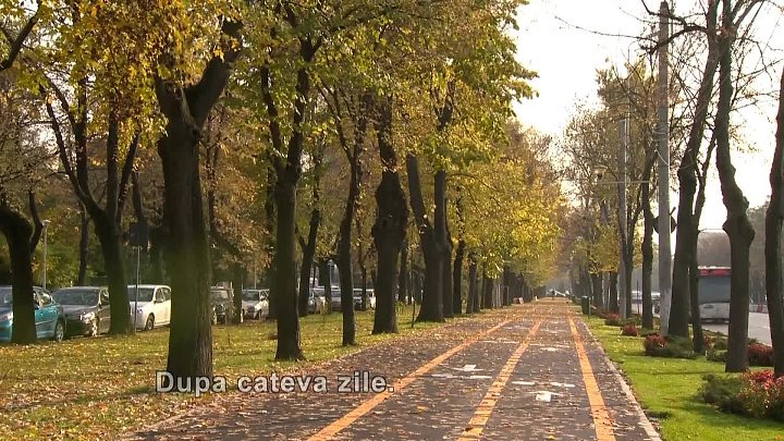 U_ime_časti_epizoda_66