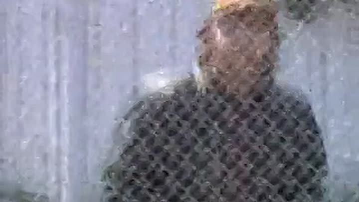 ⁣Earth Final Conflict S05E04 Subterra