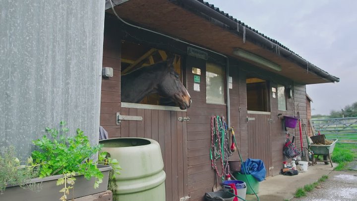 The Sound Collector S01E60 1080p WEB H264-SKYFiRE