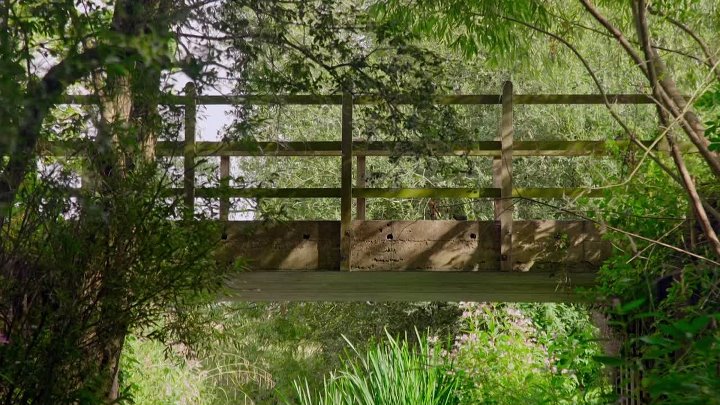 The Sound Collector S01E39 1080p WEB H264-SKYFiRE