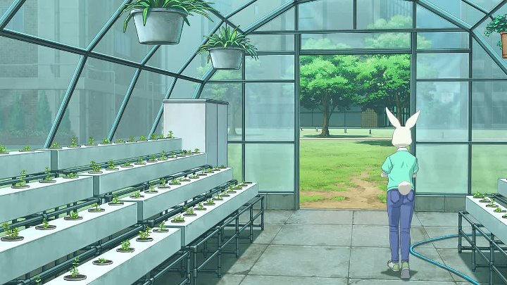 BEASTARS S03E13 1080p WEB h264-QUiNTESSENCE